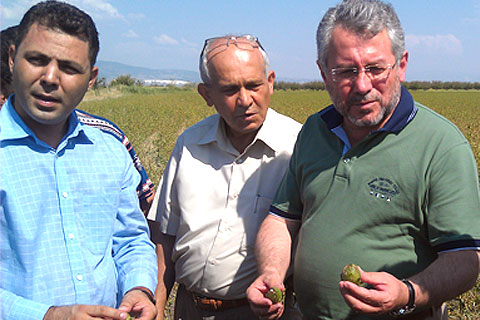 Pamukçuya 12 milyon TL destek