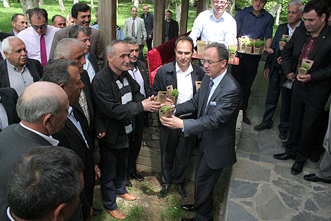 Tavas artık fesleğen kokuyor