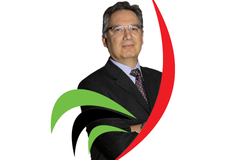 Ön Seçim