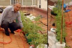 Toprak özlemi yükseklik tanımıyor
