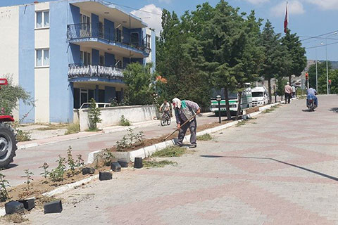 Bozkır yeşilleniyor