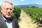 Buldanlı üzüm üreticisi dolu vurgunu yedi
