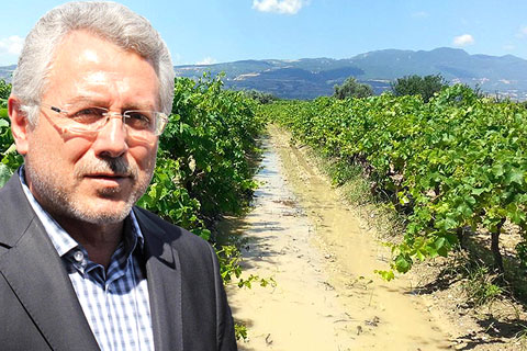 Buldanlı üzüm üreticisi dolu vurgunu yedi