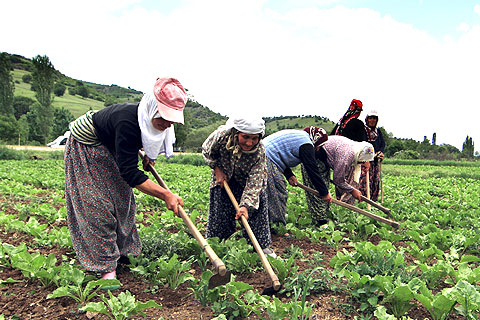 Çiftçiler Yarışacak