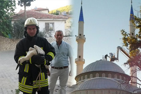 Yavru leyleği itfaiye kurtardı