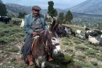 ÇOBANLARIN OTLAK KAVGASI: 1 ÖLÜ