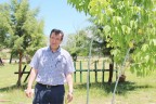Çivril yeşillenecek