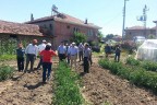 Burası bir okul