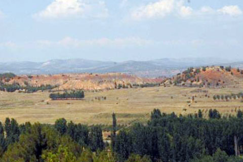 Türk bitkilerinin genetiği Çal’da korunacak