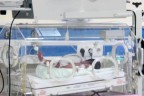 Çöpe bırakılan erkek bebek koruma altında