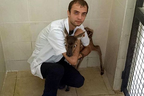 Annesiz kaldı sahip çıktılar