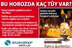 Ateşin cazibesi eğitimini aldıkları mesleği yaptırmadı