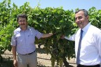 Yenicekent’te hasat zamanı