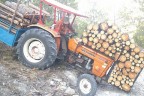 Orman işçilerinin tehlikeli mesaisi
