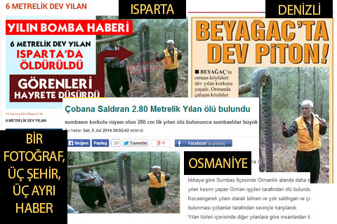 Paylaşılamayan yılan