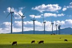 Rüzgar elektrik olacak