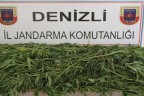 7 ilçede uyuşturucu operasyonu
