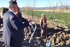 Pamukkale Ovası kavruluyor