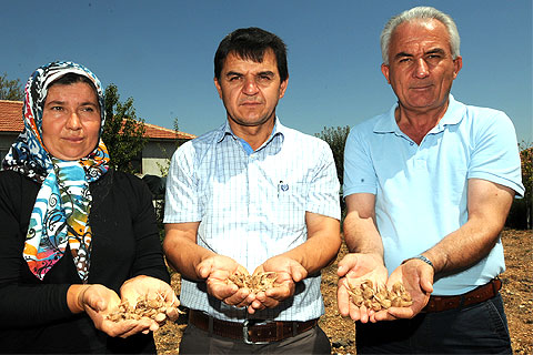 Kilosu 20 bin liradan satılıyor
