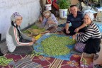 Susuz bamya çiftçinin yüzünü güldürdü