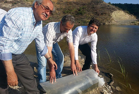 Göletler balık kaynayacak