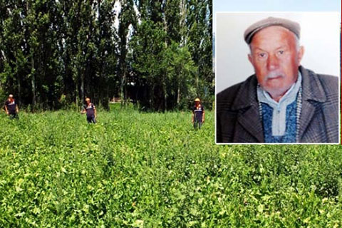 Ali Dede’yi arıyorlar
