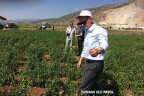 Tavas, göletler ilçesi oluyor