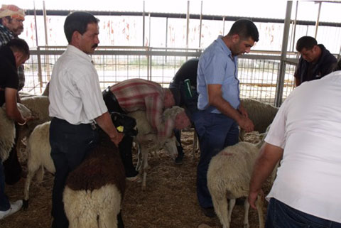 Hayatları değişecek
