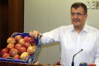 Çitle çekirdeği kap altını