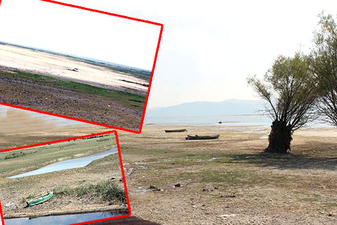 ‘VAHŞİ SULAMA’ IŞIKLI GÖLÜ’NÜ KURUTUYOR