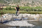 600 bin balık daha öldü
