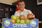 Çivril’de elma ağaçları sökülüyor