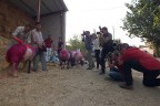 Film yıldızı değil koyun çekiyorlar