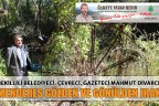 “MENDERES GÖZDEN VE GÖNÜLDEN IRAK”