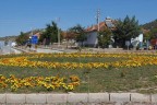 Baklan çiçek açtı