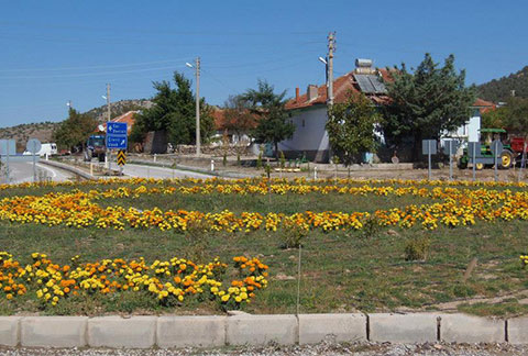 Baklan çiçek açtı