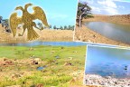 Defineciler umudu kesti Kartal Gölü kurtuldu