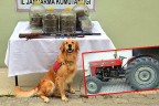 Jandarmadan 9 operasyon 13 gözaltı