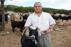 Sertifikalı çobanlığa büyük ilgi