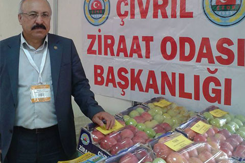 Elmada üretim düştü, kalite arttı