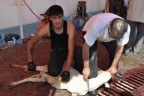 Kurban kesim merkezleri doldu taştı