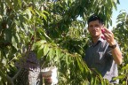 Çameli’yi kurtaracak proje