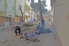 Yine Acıpayam yine ağaç kesimi