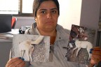 Köpek katliamı için suç duyurusu