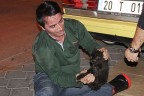 Akşam vakti kedi kurtarma operasyonu