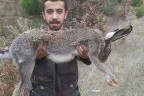 Bu tavşanı Çamelili avcılar avladı