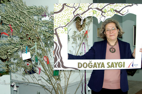 Kesilen 6 bin 666 zeytin ağacına saygı