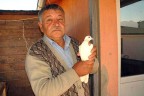 GÜVERCİN BESLEME CEZASINI İPTAL ETTİRDİ
