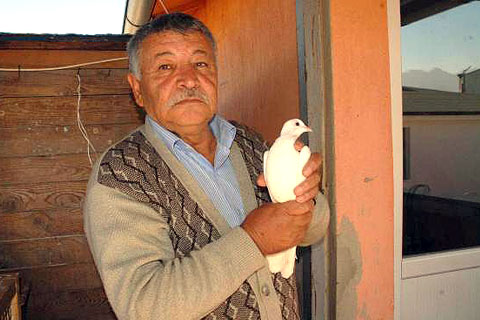 GÜVERCİN BESLEME CEZASINI İPTAL ETTİRDİ