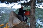 Bozdağ yoluna kuş yuvaları